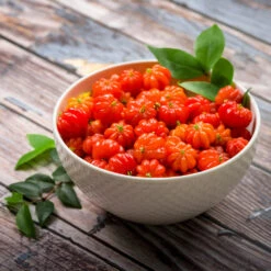 Star Cherry Tree (Pitanga) -Flourish Garden Star Cherry 3 FGT