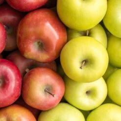 5-in-1 Apple Surprise Tree -Flourish Garden Surprise Apple 1