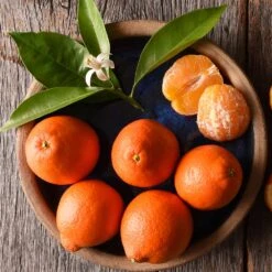 Tangelo Tree -Flourish Garden Tangelo 1 FGT