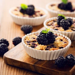 Thornless Blackberry -Flourish Garden Thornless Blackberry 2