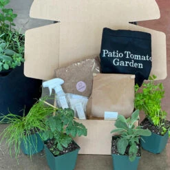 Patio Tomato Garden -Flourish Garden Tomato Garden kit 2