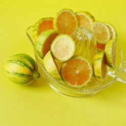 Pink Variegated Eureka Lemon Tree 10 Pink Variegated Eureka Lemon Tree -Flourish Garden Variegated Pink Eureka 3 fc1d5a93 7ca6 443b a4e9 221de3f12f84